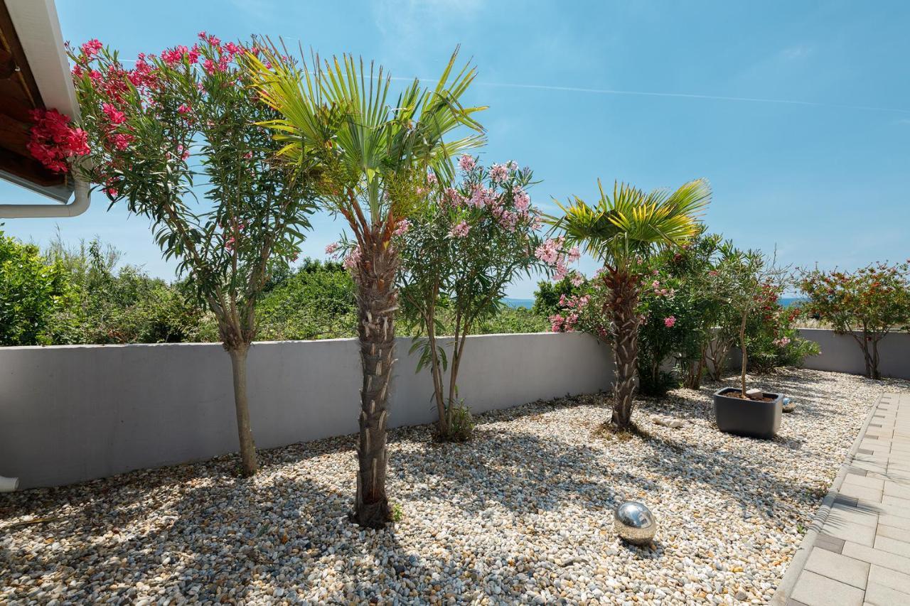 Malo Ferienvilla Privlaka, Pool, Boje, Wi-Fi, Wallbox Privlaka  Bagian luar foto